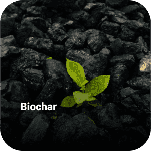 Biochar & Activated Carbon