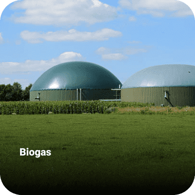 Biogas